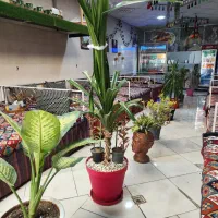 رستوران میهمان