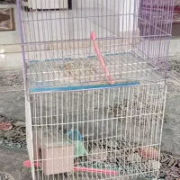 زنجیرچرخ پراید کمک فنرپرایددوعددقفس پرنده 8عددباند