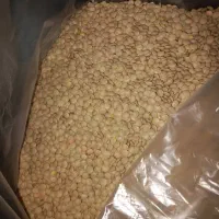 حبوبات|عمده‌فروشی|شیراز, شهرک مهدی‌آباد|دیوار