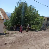 زمین 216 متری مسکونی سند شش دانگ و تگ برگ