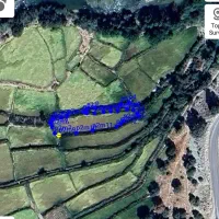 زمین برنجکاری