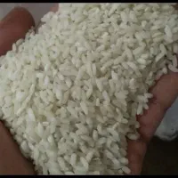 برنج