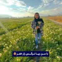 تور نرگس زار خفر