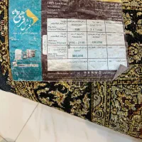 فرش فرهی|فرش|زنجان, |دیوار