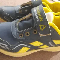 کفش|کیف، کفش، کمربند|سلماس, |دیوار