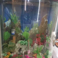 ساعت پمپدار  گنجه درجه‌یک  آکواریم با تمام لوازم