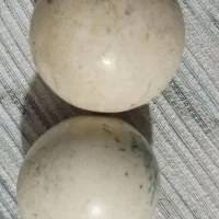 سنگ اسیاب