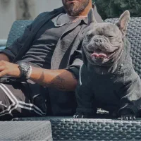 واگذاری فرنچ بولداگ ‌بلو