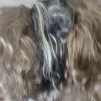 کلاه گیس