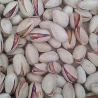 خرید پسته پوک . پیتو.گالو..|خدمات باغبانی و درختکاری|زرند, |دیوار