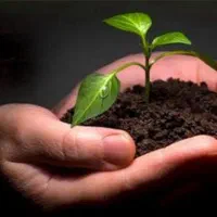 ترک اعتیاد تخصصی با امکانات و خدمات ویژه