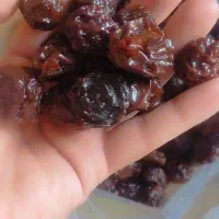 تخمه آفتابگردان و انواع آلو|حراج|خرمدره, |دیوار