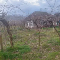 زمین ویلای با خانه کلنگی (بهمراه باغ کیوی)