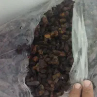 کشمش آفتابی درجه یک