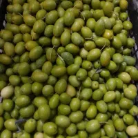 زیتون سبز وروغنی تازه چین