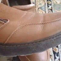 کفش|کیف، کفش، کمربند|نهاوند, |دیوار