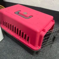 سگ بازیگوش|سگ|بندرعباس, |دیوار