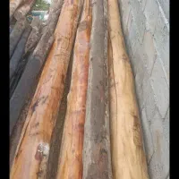 از سقف دراومده سالم وپوسی همون دام تیری خریداریم|خدمات باغبانی و درختکاری|دشتابی, |دیوار