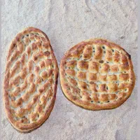 شاطر بربری هستم