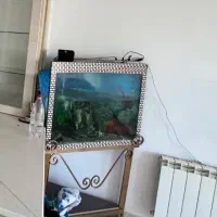 آکواریوم خاص وزیبا سه گوش برای کنج خانه