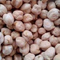 نخود درجه یک