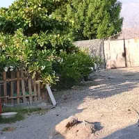 زمین
