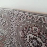 پشتی