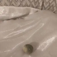 سنگ شب نما|جواهرات|رباط‌کریم, الارد|دیوار