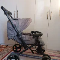 کالسکه مارک دلیجان