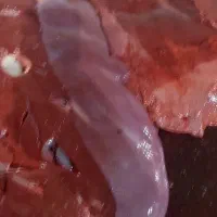 جگر گوساله|خوردنی و آشامیدنی|کرج, مصباح|دیوار