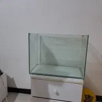 اکواریوم مفت
