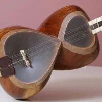 نوازنده سنتی تار و