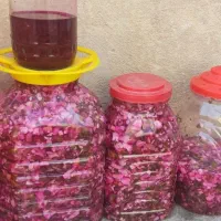 ترشی|عمده‌فروشی|نقده, |دیوار