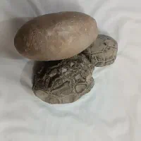 سنگ کلکسیونی|کلکسیون اشیاء عتیقه|مشهد, امیرآباد|دیوار