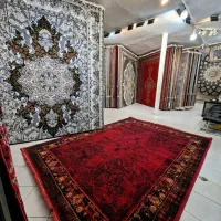 فرش۱۲متری طلایی و قرمز و دودی طلاکوب حاجی حسینی|فرش|مشهد, سیلو|دیوار