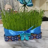 خطایرانسل نهصدوسی وپنج