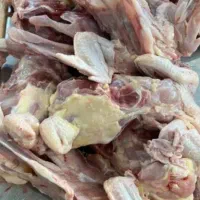 ضایعات مرغ