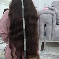 موی سر|آرایشی، بهداشتی، درمانی|بیلوار, |دیوار