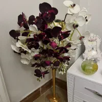 گلدان گل ارکیده