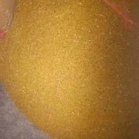 بذر یونجه درجه یک