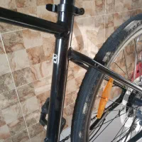 جاینت سایپرس 2 Giant cypress 2|دوچرخه، اسکیت، اسکوتر|تهران, عباس‌آباد|دیوار