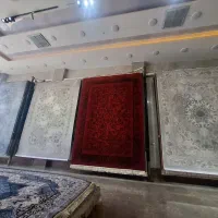 یاقوتی پر فروش رسید. 1000شانه.