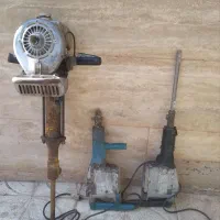 هیلتی بوش المان