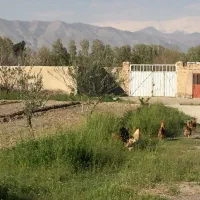 باغچه بابا سلمان|فروش دفتر صنعتی، کشاورزی، تجاری|قدس, شهرک صنعتی زاگرس|دیوار