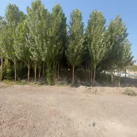استخدام کارگر جهت باغبانی غیر اتباع