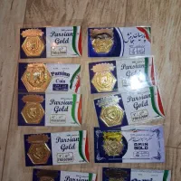 سکه پارسیان