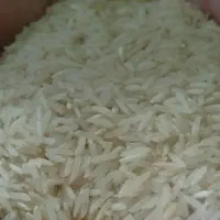 برنج محلی ضیغمی گوراب رستم درجه یک،به شرط