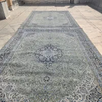 فرش|فرش|شیراز, زرهی|دیوار