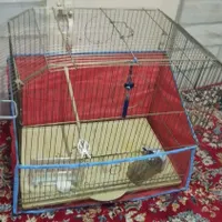 قفس پرنده تمام برنجی بزرگ