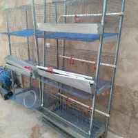 قفس مرغ تخم گذار